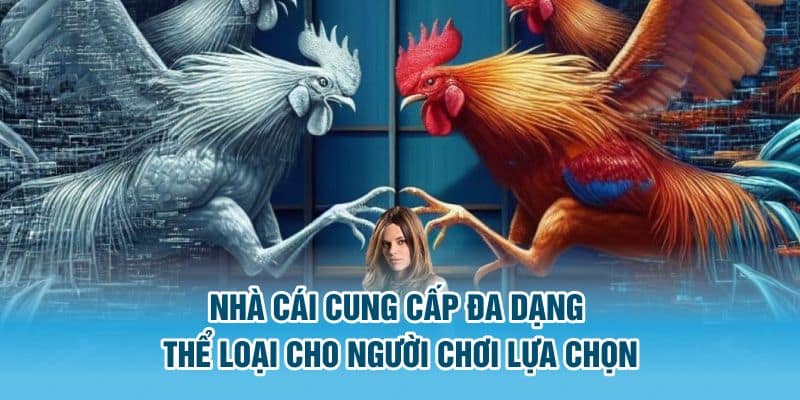 Ưu điểm vượt trội của nền tảng đá gà kuwin